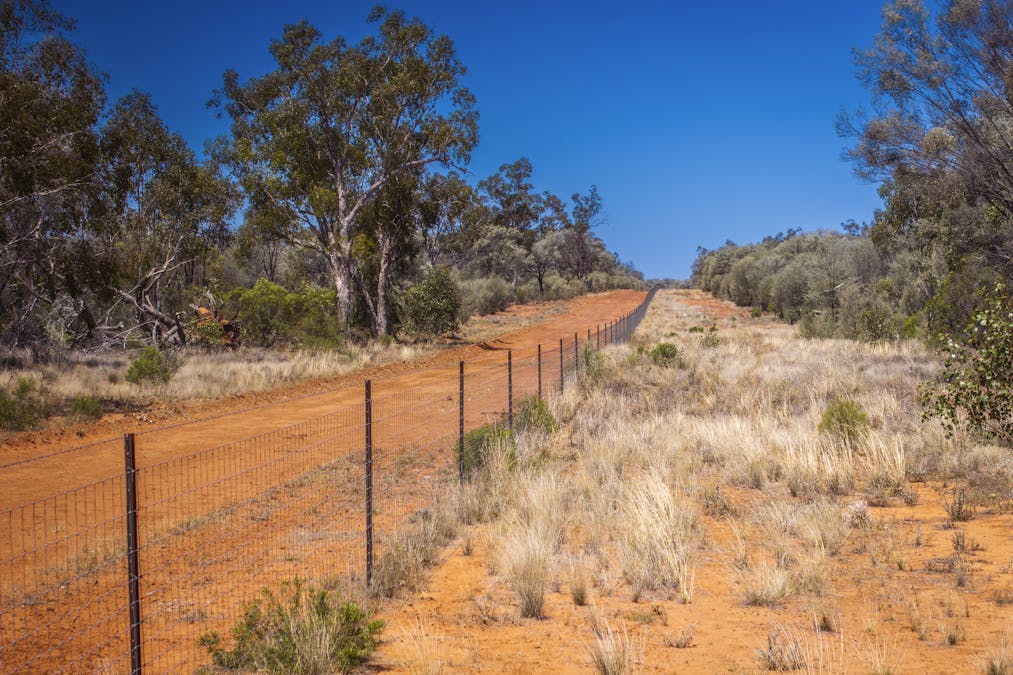 8283 Linden-Nebine Road, Nebine, QLD, 4488 - Image 14