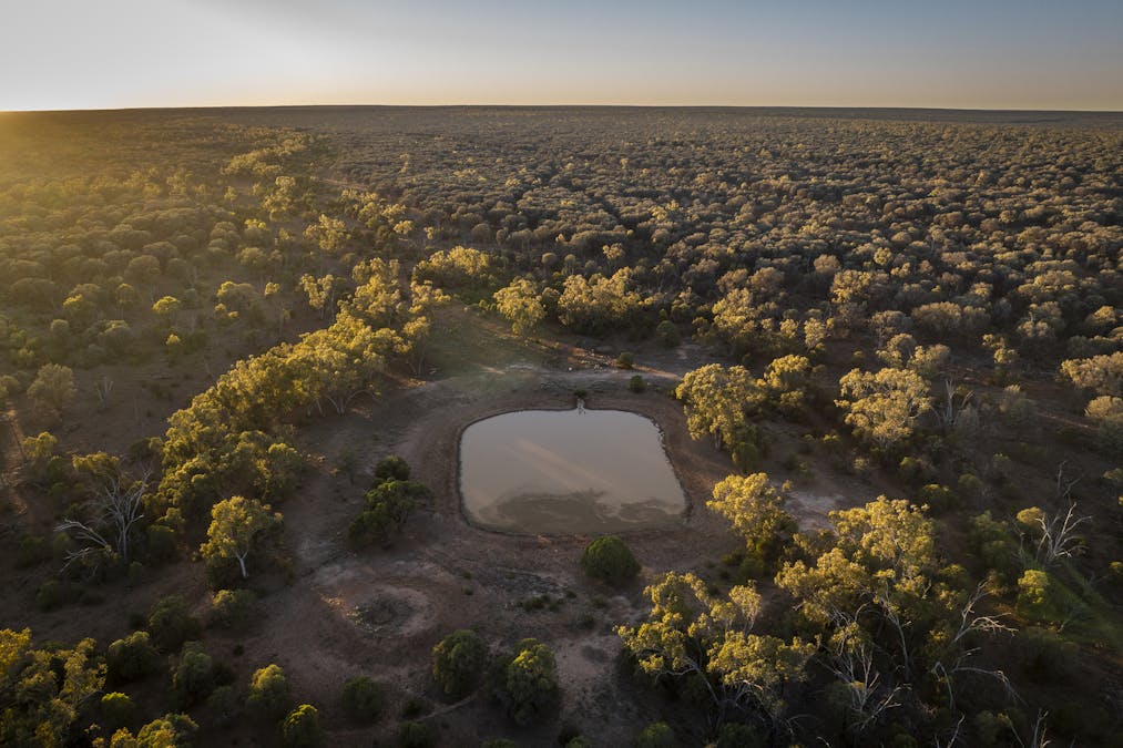 8283 Linden-Nebine Road, Nebine, QLD, 4488 - Image 15