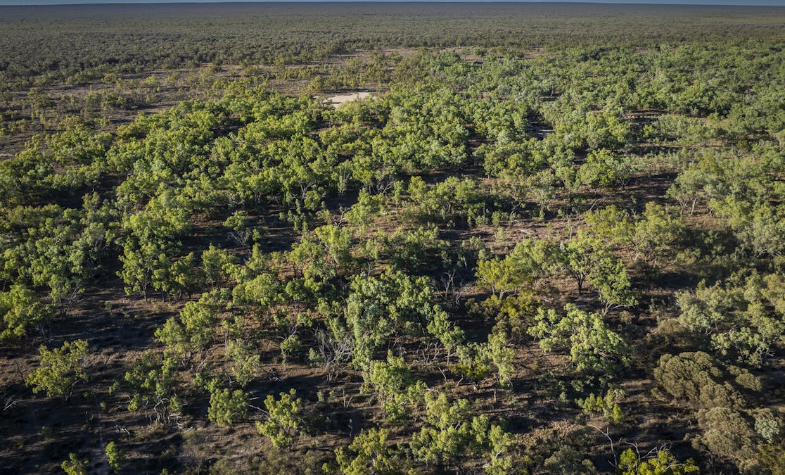 8283 Linden-Nebine Road, Nebine, QLD, 4488 - Image 17