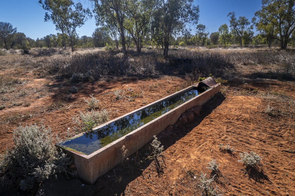 8283 Linden-Nebine Road, Nebine, QLD, 4488 - Image 19