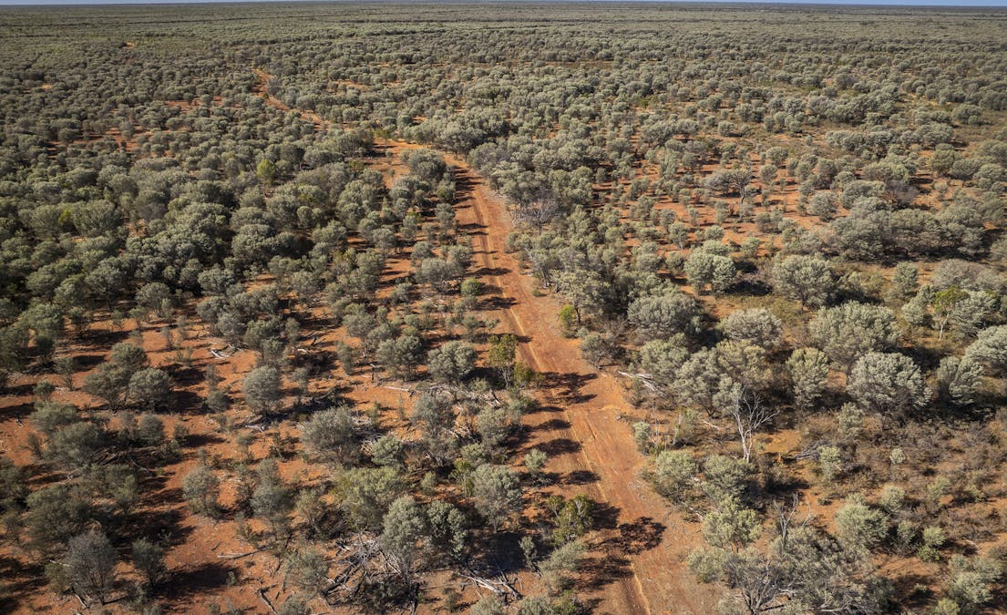 8283 Linden-Nebine Road, Nebine, QLD, 4488 - Image 27