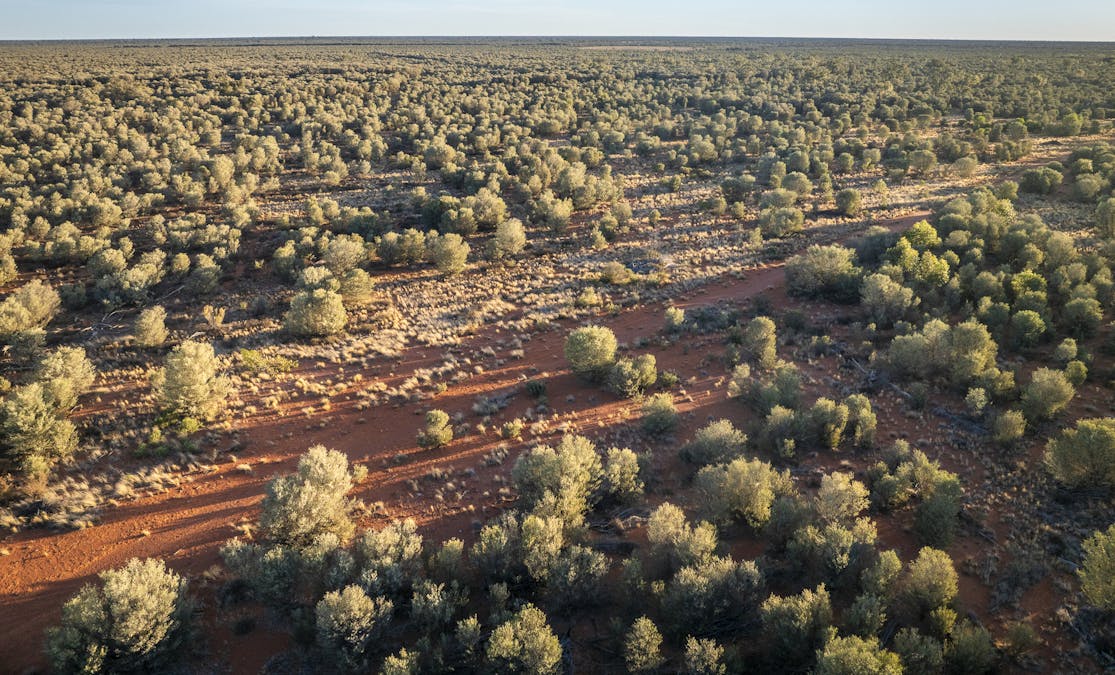 8283 Linden-Nebine Road, Nebine, QLD, 4488 - Image 28