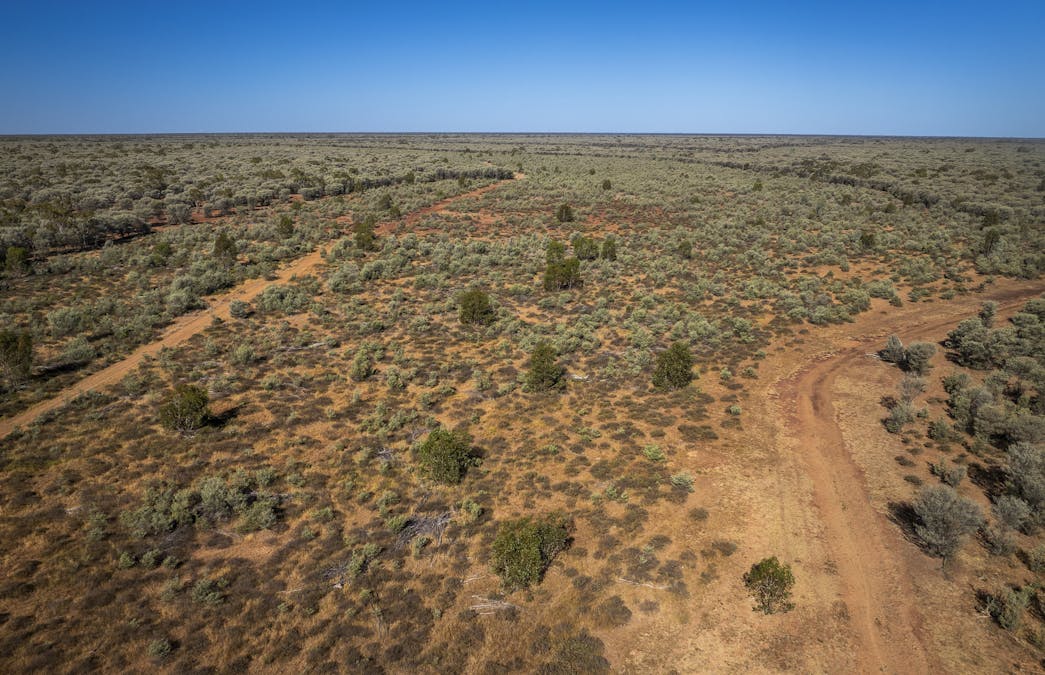 8283 Linden-Nebine Road, Nebine, QLD, 4488 - Image 29