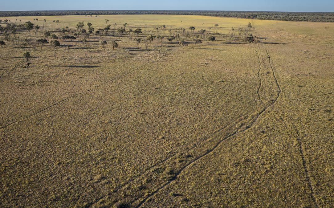 8283 Linden-Nebine Road, Nebine, QLD, 4488 - Image 35