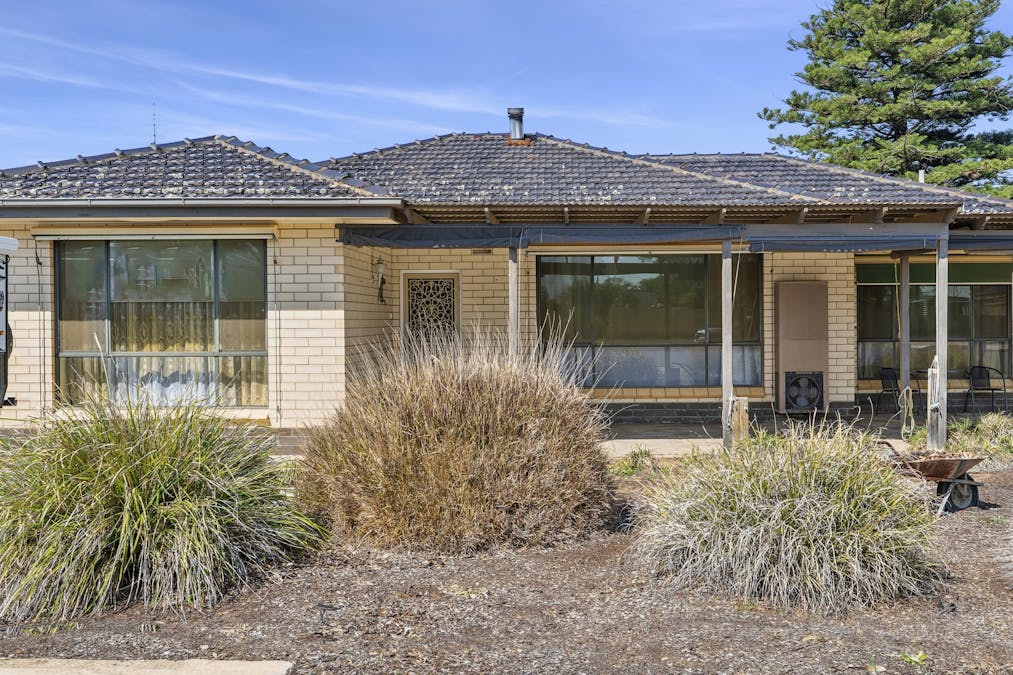 41 Acacia Avenue, Loxton, SA, 5333 - Image 1