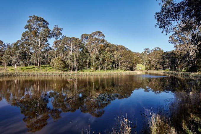 155 Neill Road, Clonbinane, VIC, 3658 - Image 1