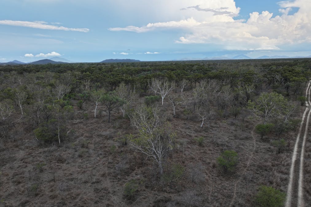 8 Coventry Road, Guthalungra, QLD, 4805 - Image 1