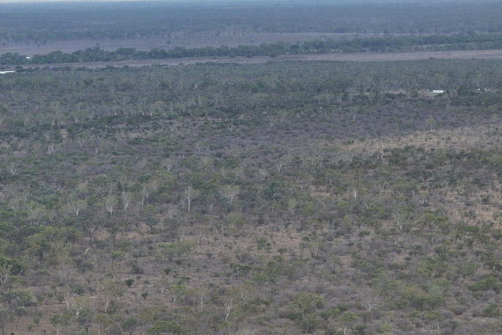 8 Coventry Road, Guthalungra, QLD, 4805 - Image 2