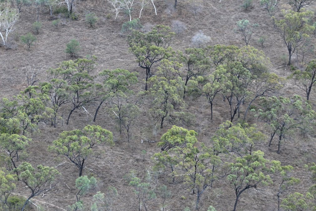 8 Coventry Road, Guthalungra, QLD, 4805 - Image 3