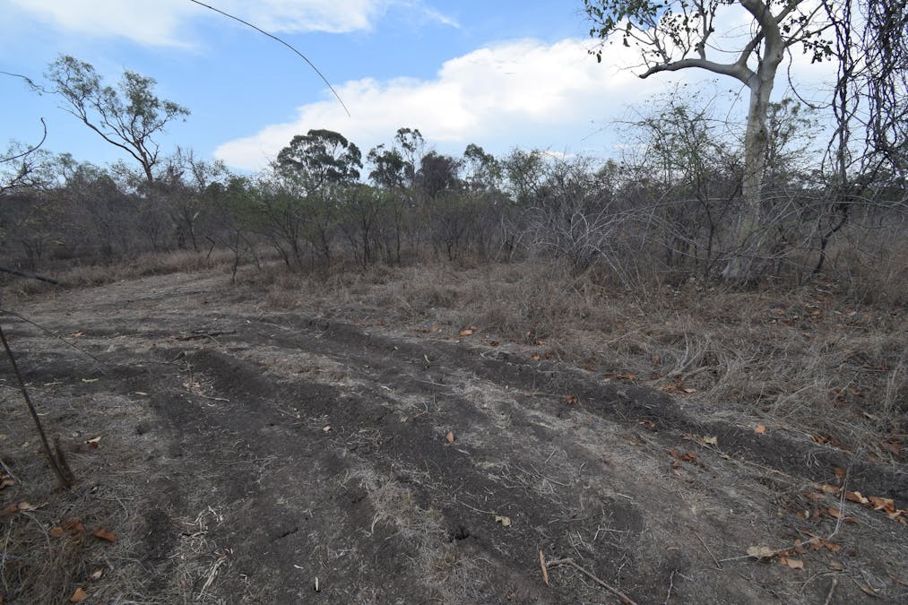 8 Coventry Road, Guthalungra, QLD, 4805 - Image 5