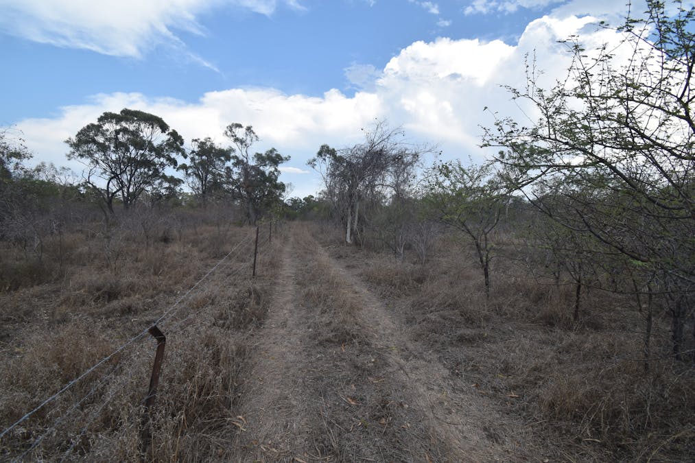 8 Coventry Road, Guthalungra, QLD, 4805 - Image 6