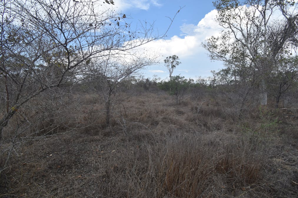 8 Coventry Road, Guthalungra, QLD, 4805 - Image 7