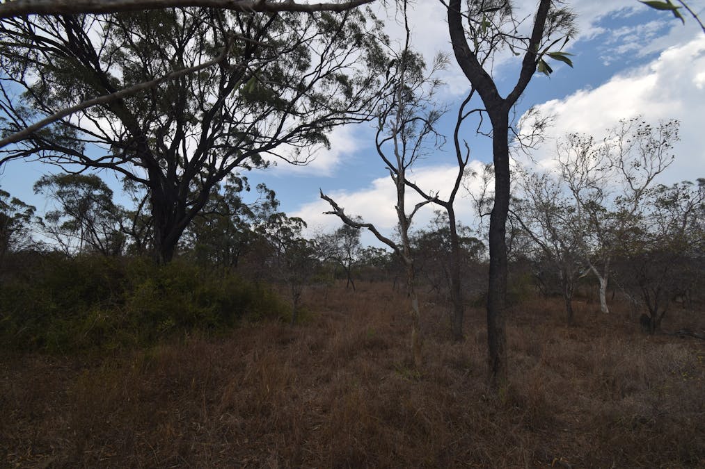 8 Coventry Road, Guthalungra, QLD, 4805 - Image 8