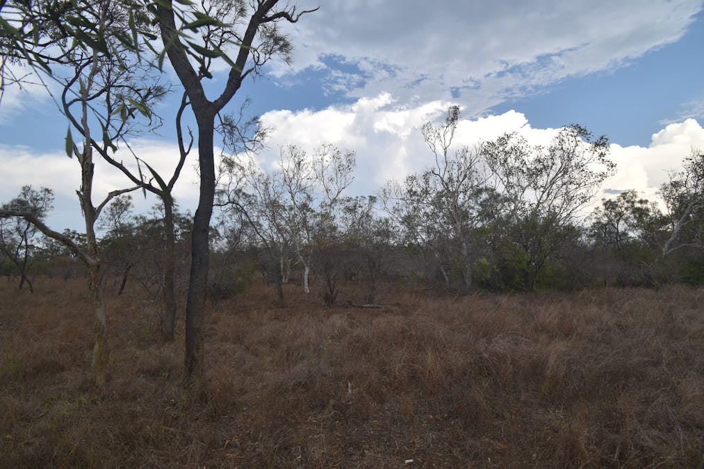 8 Coventry Road, Guthalungra, QLD, 4805 - Image 9