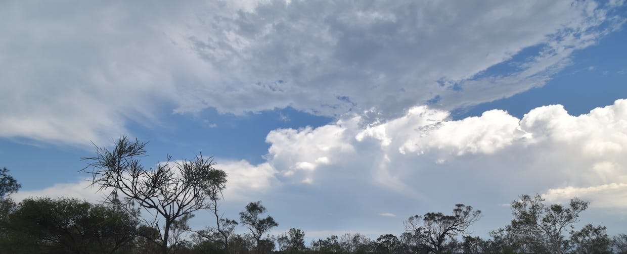 8 Coventry Road, Guthalungra, QLD, 4805 - Image 10