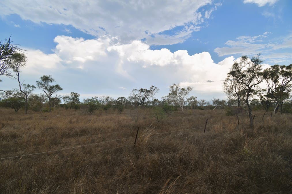 8 Coventry Road, Guthalungra, QLD, 4805 - Image 11