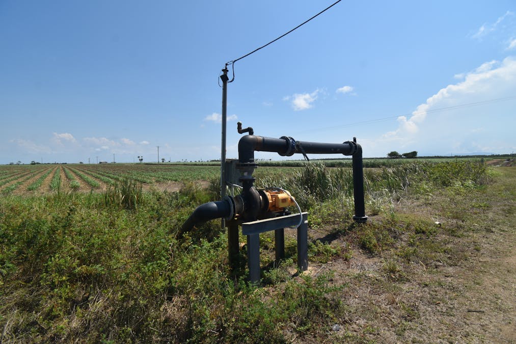 505 Trent Road, Alva, QLD, 4807 - Image 2