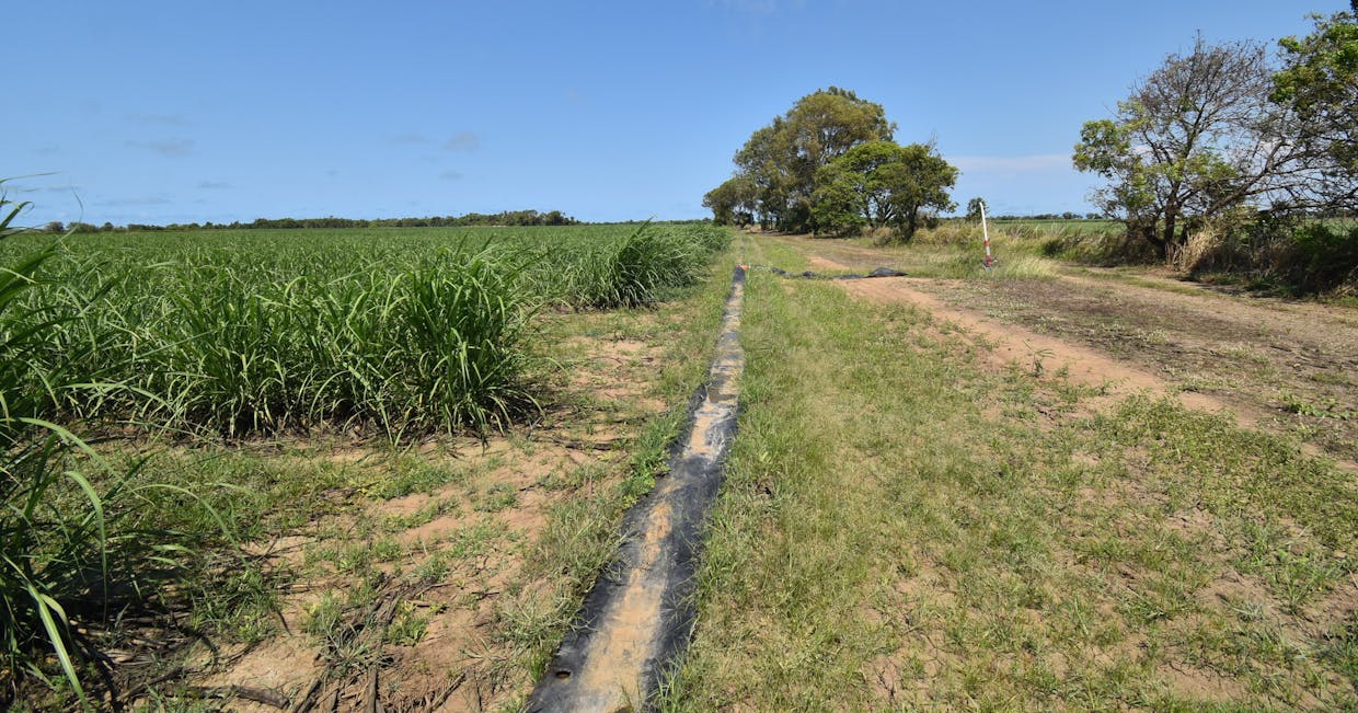 505 Trent Road, Alva, QLD, 4807 - Image 3