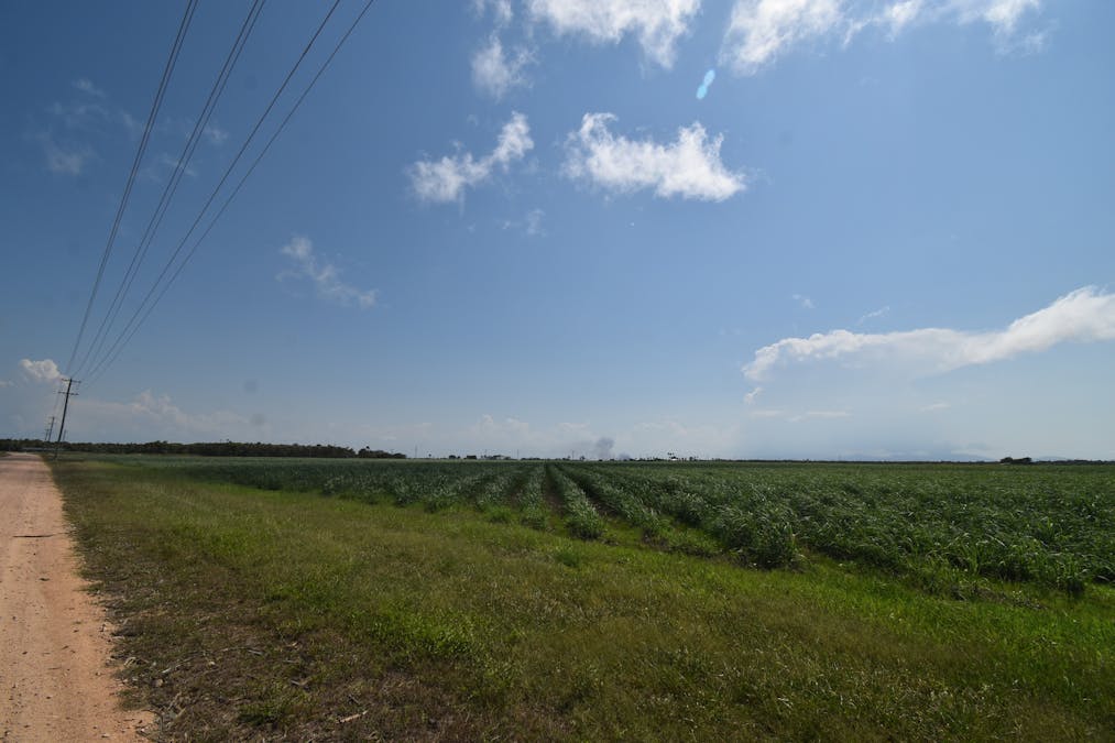 505 Trent Road, Alva, QLD, 4807 - Image 4