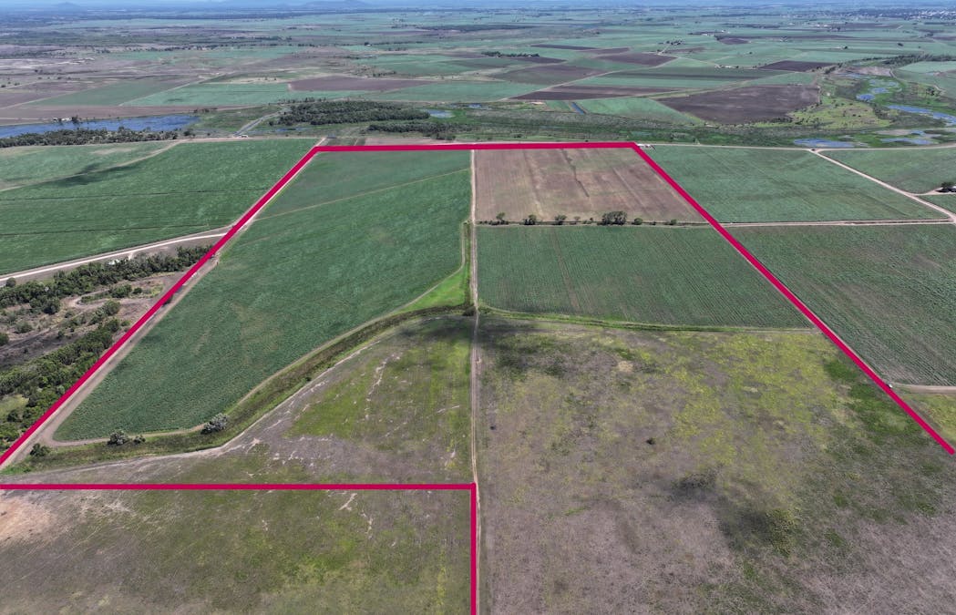 505 Trent Road, Alva, QLD, 4807 - Image 1