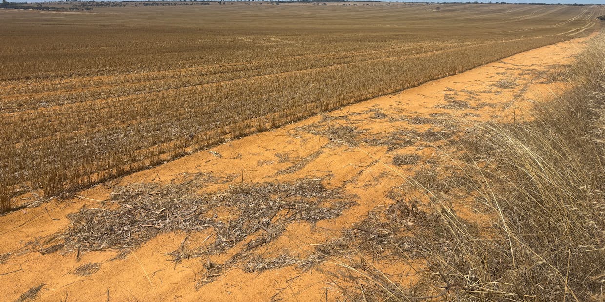 727 Tenindewa Road, Tenindewa, WA, 6632 - Image 4