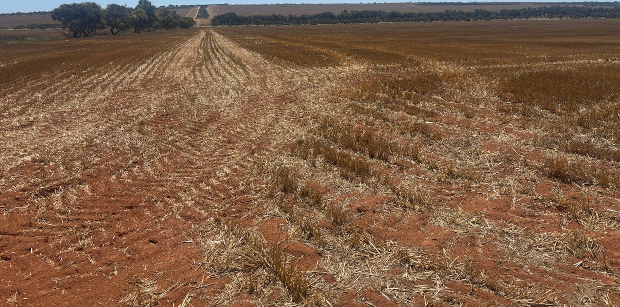 727 Tenindewa Road, Tenindewa, WA, 6632 - Image 6