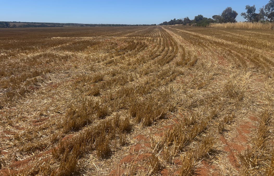 727 Tenindewa Road, Tenindewa, WA, 6632 - Image 8