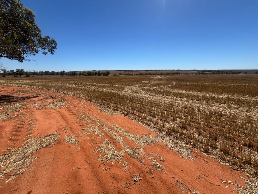 727 Tenindewa Road, Tenindewa, WA, 6632 - Image 9