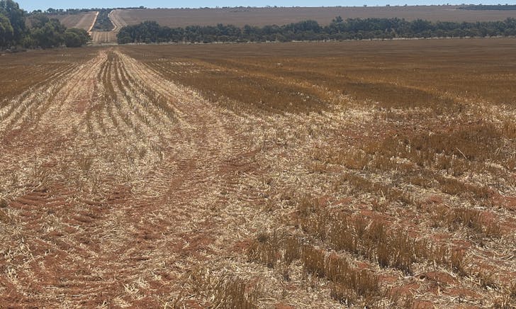 727 Tenindewa Road, Tenindewa, WA, 6632 - Image 1