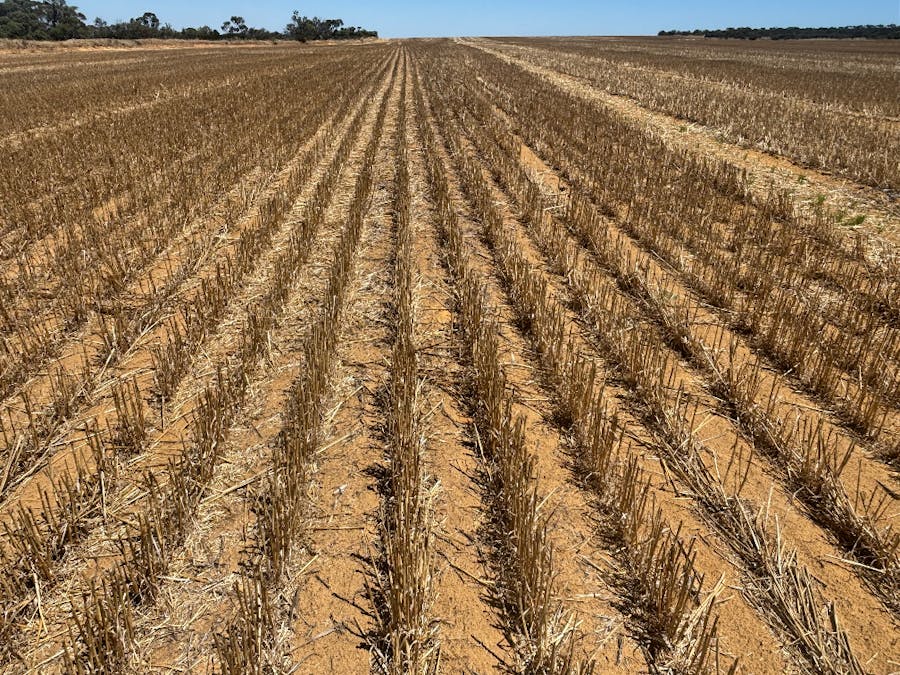 727 Tenindewa Road, Tenindewa, WA, 6632 - Image 12