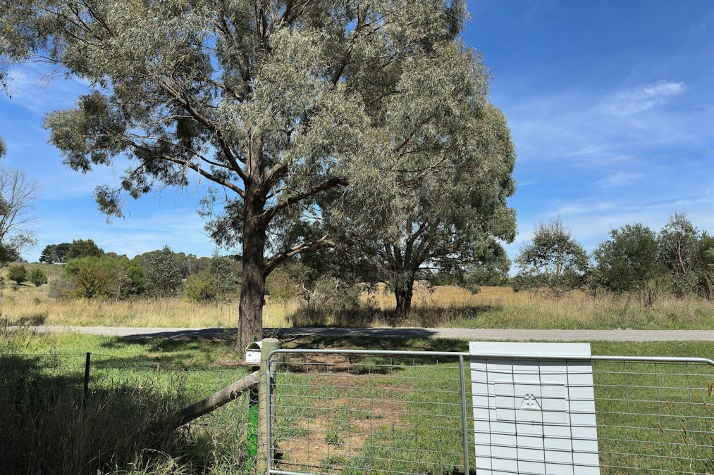 11 Martyn Street, Taralga, NSW, 2580 - Image 3