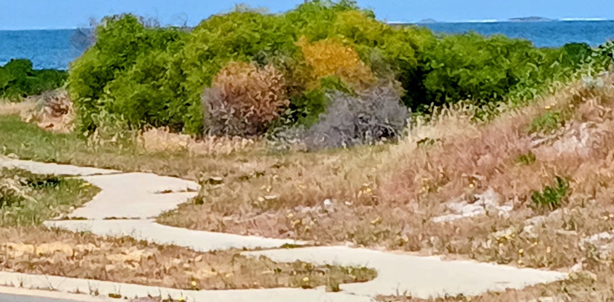 10 Craike Way, Green Head, WA, 6514 - Image 1