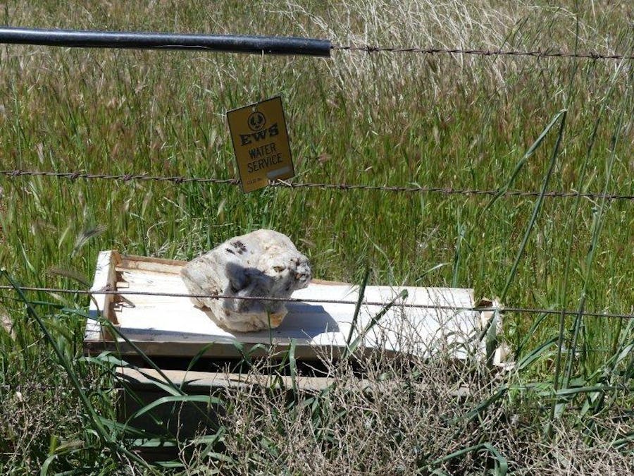 Yongala Vale & Malycha Road, Peterborough, SA, 5422 - Image 15