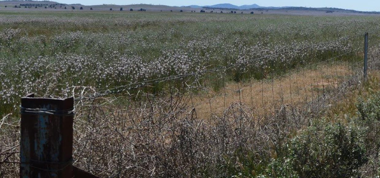 Yongala Vale & Malycha Road, Peterborough, SA, 5422 - Image 20