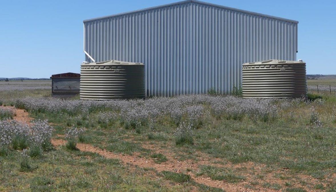 Yongala Vale & Malycha Road, Peterborough, SA, 5422 - Image 5