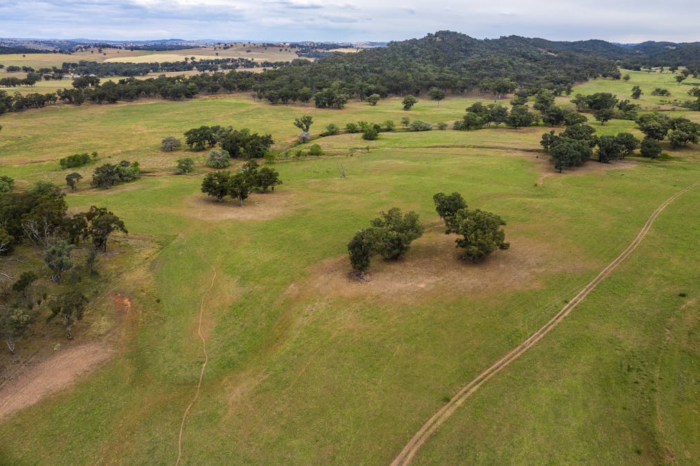 The Spring 561 Mountain Valley Road, Neurea, NSW, 2820 - Image 4