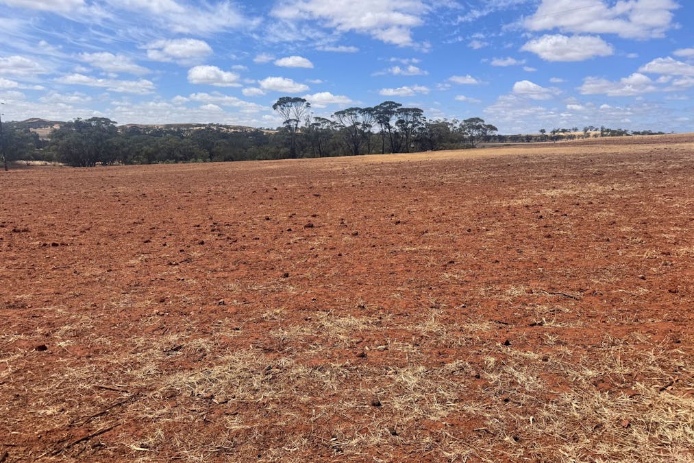 75  Forrest Street, Bolgart, WA, 6568 - Image 2