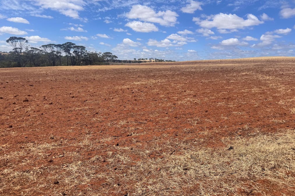 75  Forrest Street, Bolgart, WA, 6568 - Image 3