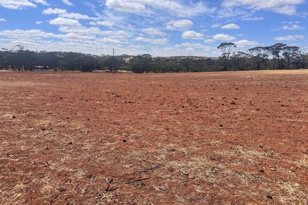 75  Forrest Street, Bolgart, WA, 6568 - Image 4