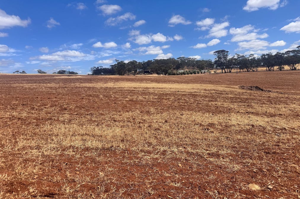 75  Forrest Street, Bolgart, WA, 6568 - Image 5