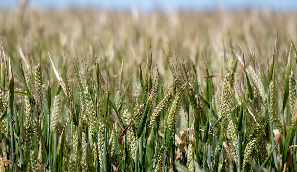 35 Three Mile Road, Vectis, VIC, 3401 - Image 14