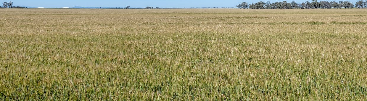 35 Three Mile Road, Vectis, VIC, 3401 - Image 11