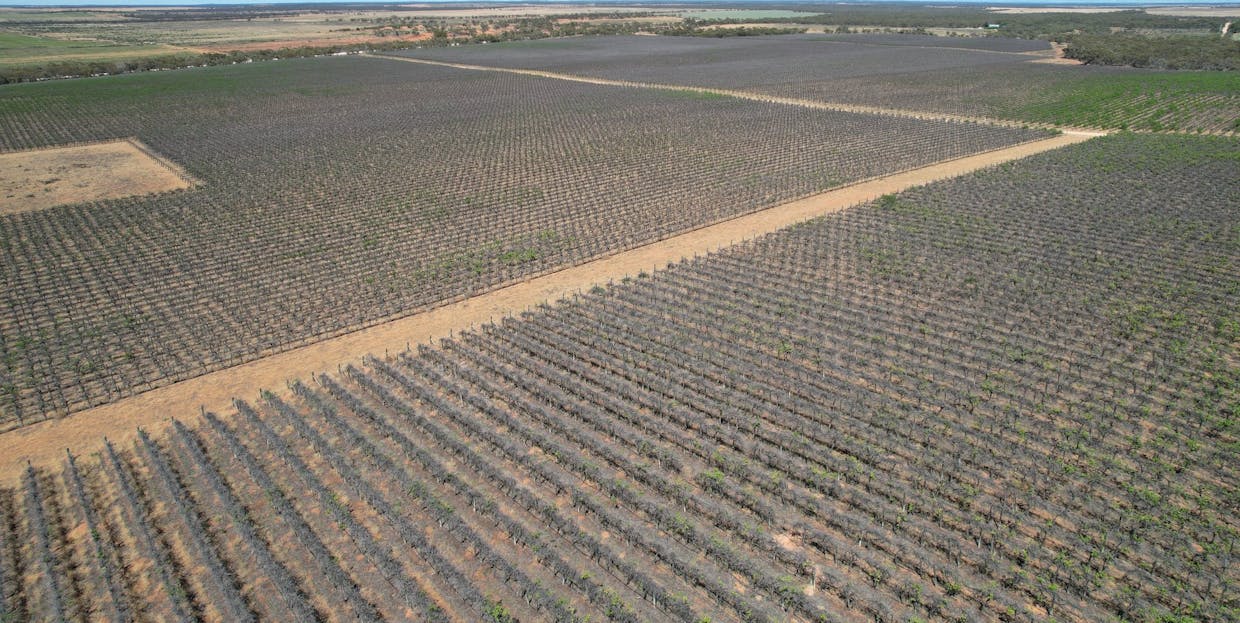 Lot 4 Playford Road, Sunlands, SA, 5322 - Image 8