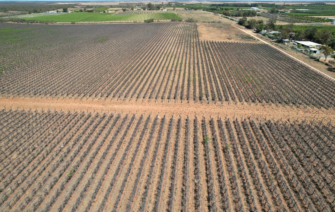 Lot 4 Playford Road, Sunlands, SA, 5322 - Image 10