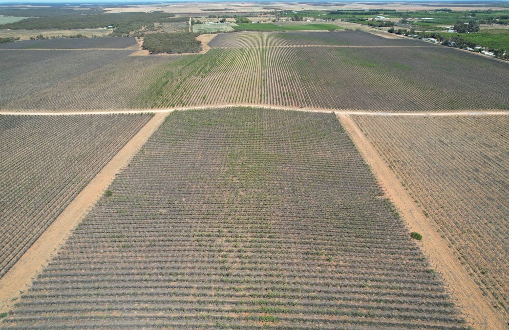 Lot 4 Playford Road, Sunlands, SA, 5322 - Image 12