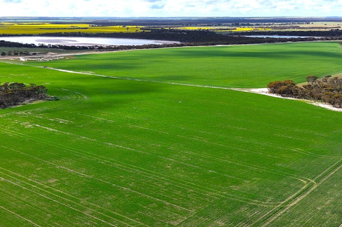 1994 Mallee Road, West Fitzgerald, WA, 6337 - Image 1