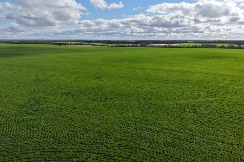 1994 Mallee Road, West Fitzgerald, WA, 6337 - Image 2