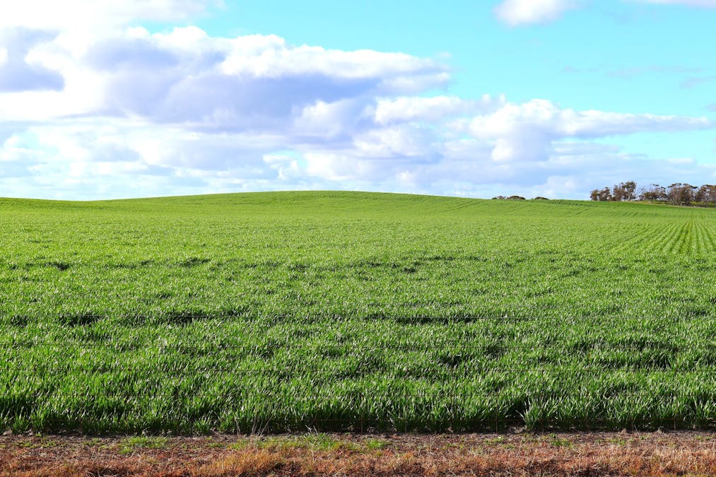 1994 Mallee Road, West Fitzgerald, WA, 6337 - Image 9