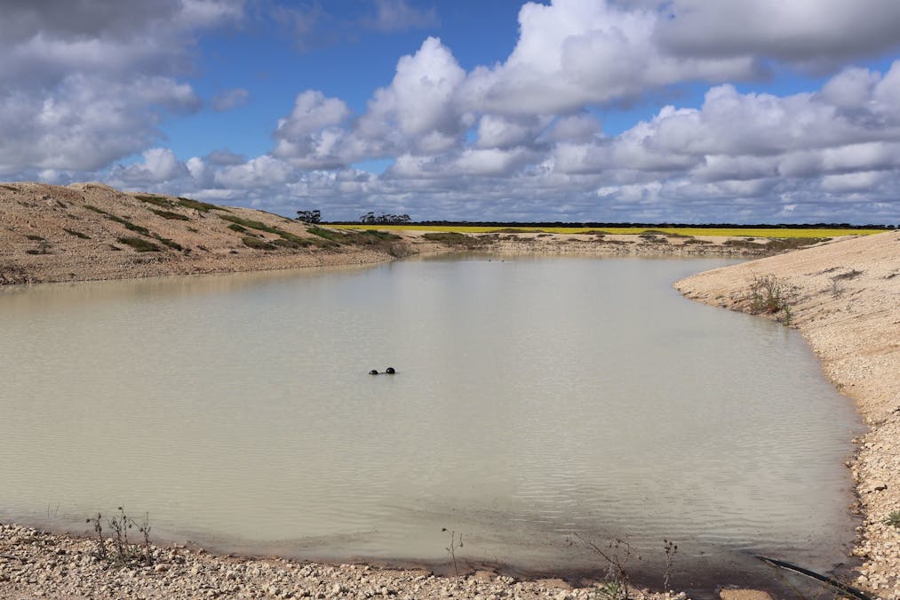 1994 Mallee Road, West Fitzgerald, WA, 6337 - Image 7