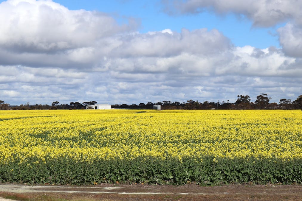 1994 Mallee Road, West Fitzgerald, WA, 6337 - Image 10